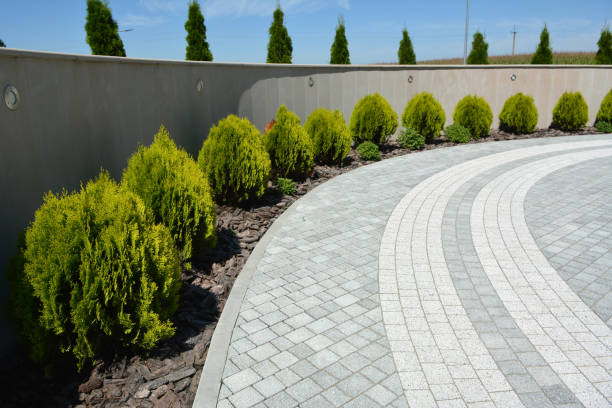 Best Best Driveway Pavers  in Pantego, TX