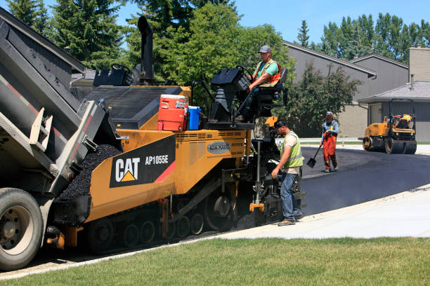 Best Local Driveway Pavers  in Pantego, TX